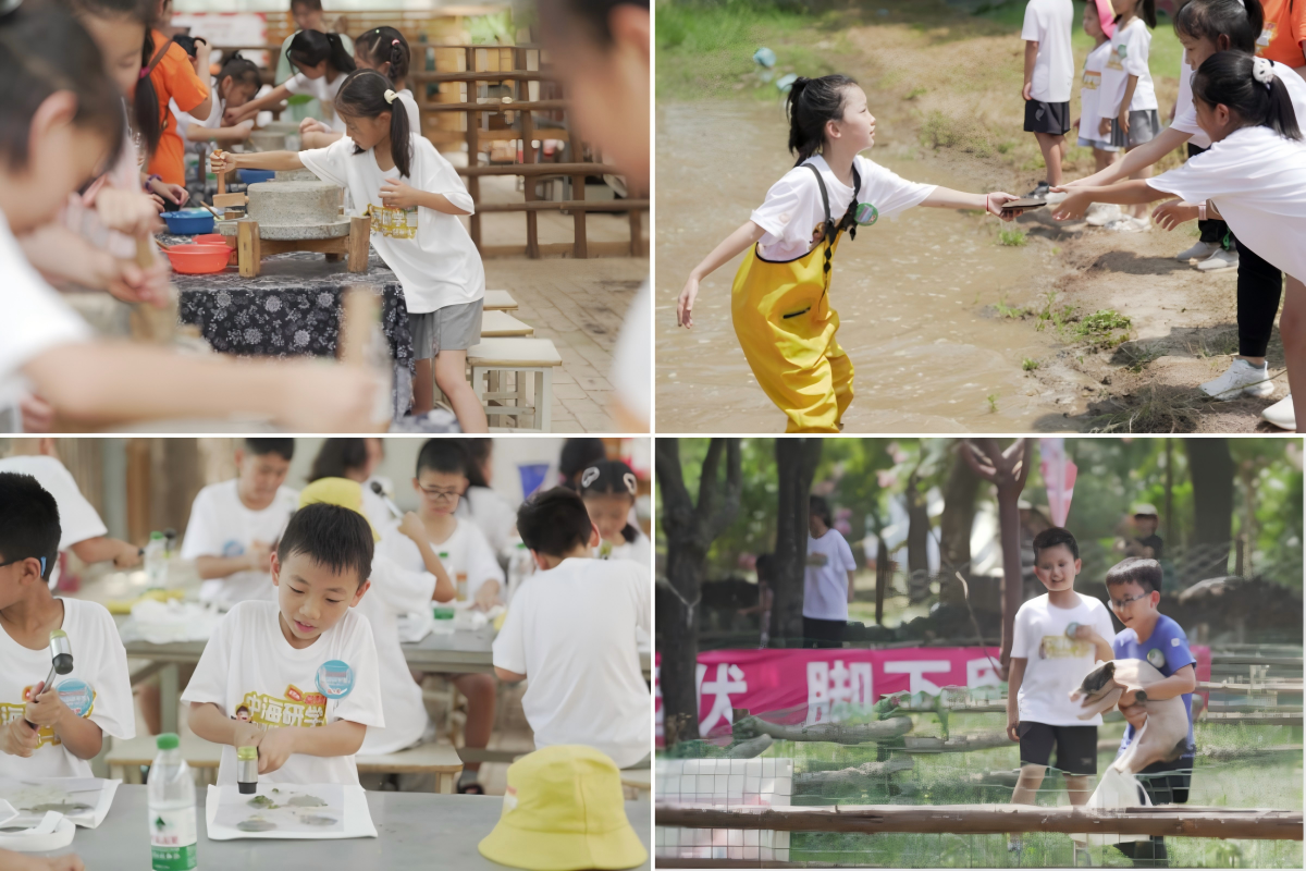 WPS拼图5